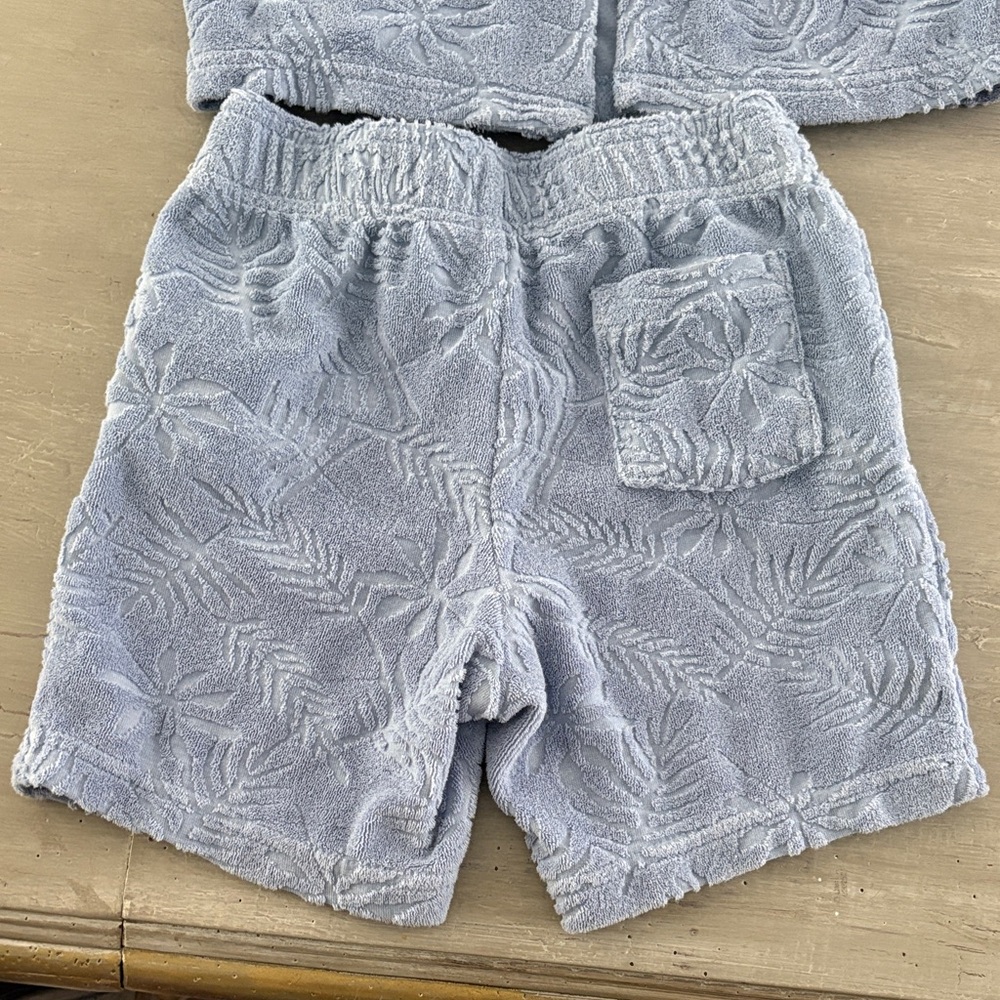 Janie and Jack Terry Shorts Set in Light Blue with Floral Leaf Pattern Size 4 - Picture 6 of 7